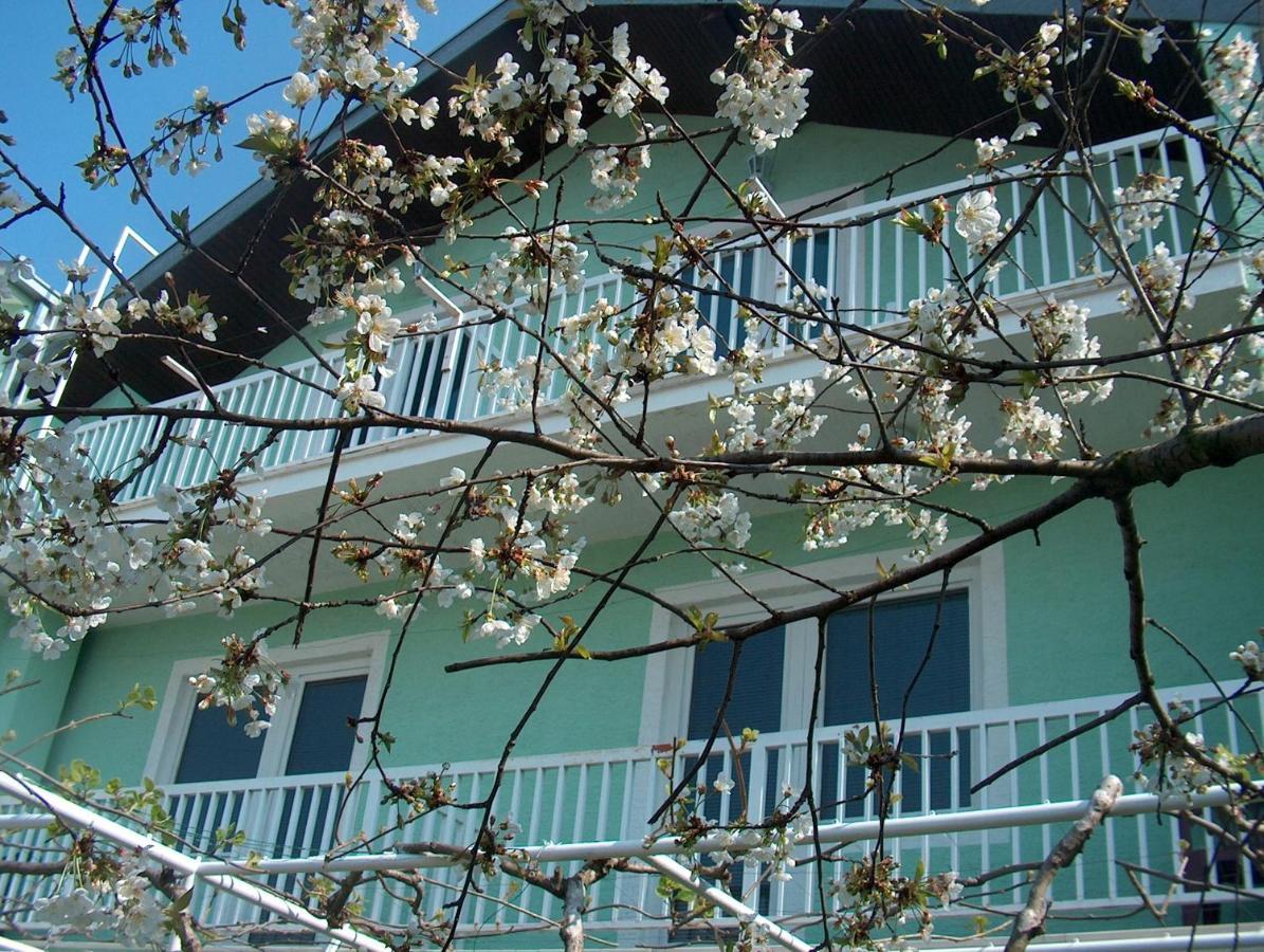 Hotel Pansion Devotions Međugorje Exterior foto